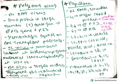 Solution Microbiology Flash Cards Virology Bacteriology Mycology