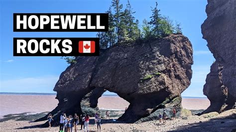 Bay Of Fundy In New Brunswick Low Tides At Hopewell Rocks Provincial