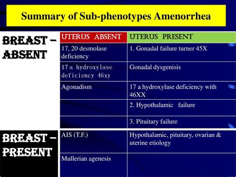 Amenorrhea Ppt Download