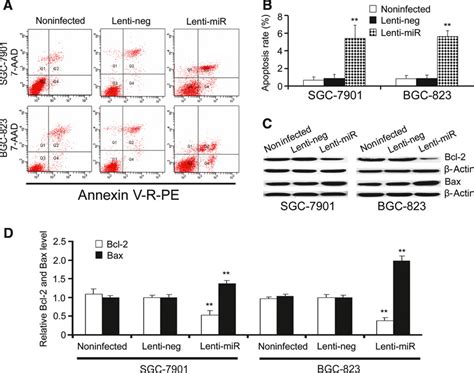 Downregulation Of MiR101 In Gastric Cancer Correlates With