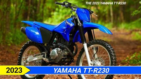 How Much Is A New Ttr Pricing Insights For Yamahas Off Road Beauty