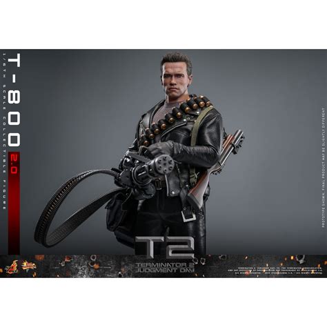 Hot Toys Terminator 2 Judgment Day MMS 1 6 T 800 V2 0 Figurine