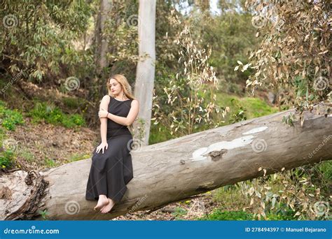 Jeune Femme Blonde Et Belle Avec Une Robe Noire Assise Sur Le Tronc D Un Grand Arbre Au Milieu