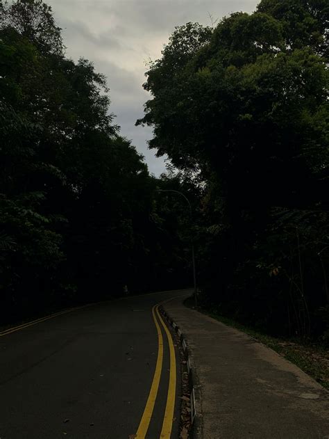 Gray Concrete Road Between Green Trees Under White Sky During Daytime