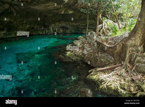 Kristallklares Wasser In Der Cenote Dos Ojos Cenoten Tulum Akumal