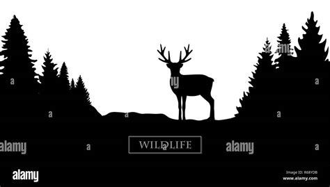 Wildtiere Rentier Silhouette Wald Landschaft Schwarz Wei Illustration