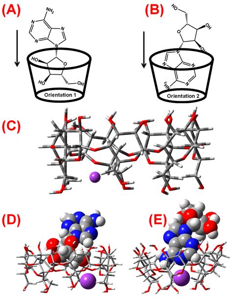 Biomolecules Free Full Text Adenosine β Cyclodextrin Based Metal