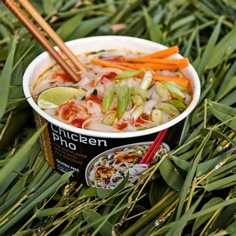 Snapdragon Vietnamese Chicken Pho Instant Noodle Bowls Oz Pack