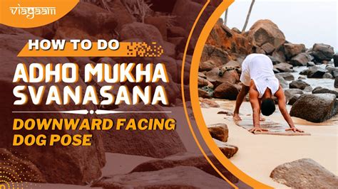 How To Do Downward Facing Dog Pose Step By Step Adho Mukha Svanasana