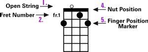 A Guide To Playing 5 String Bluegrass Banjo Chords Fret Expert