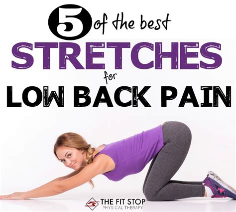 Great Stretches For Lower Back Pain Off 53