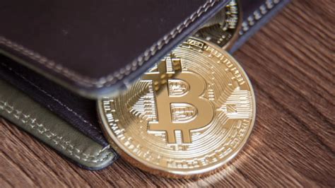 Harga Bitcoin Melemah Investor Justru Ramai Borong Bitcoin Ini Kata