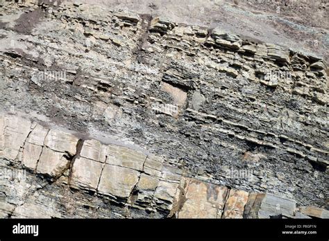 Joggins Fossil Cliffs On The Bay Of Fundy In Nova Scotia Canadas 15th