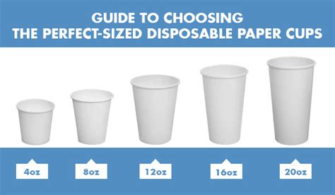 Guide To Choosing The Perfect Sized Disposable Paper Cups Dive In