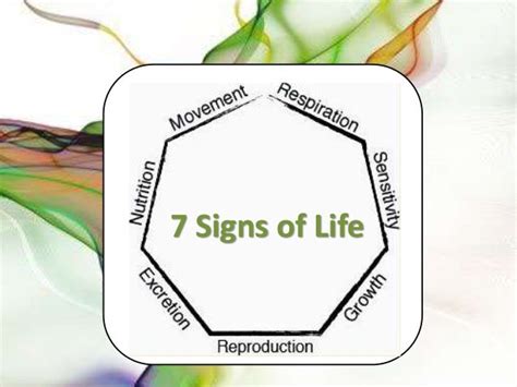 7 Signs Of Life Excretion