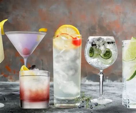 Top 6 Cocktails To Make With The Best Gin In Australia – Advanced Mixology