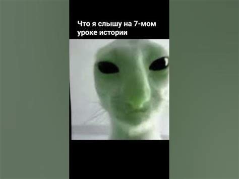 кот пришелец - YouTube