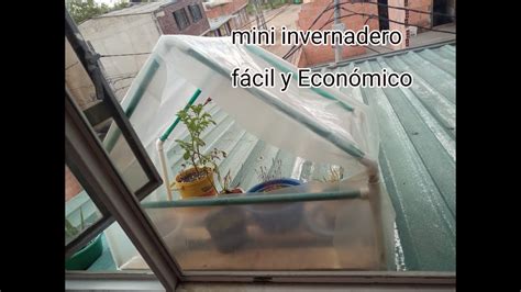 Como Aser Un Mini Invernadero Sencillo Y Econ Mico Para Plantas