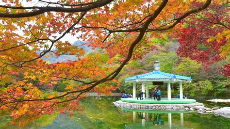 Time lapse Naejangsan national park korea By Mun duuk - YouTube