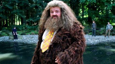 Robbie Coltrane Ator Que Viveu Hagrid Em Harry Potter Morre Aos 72