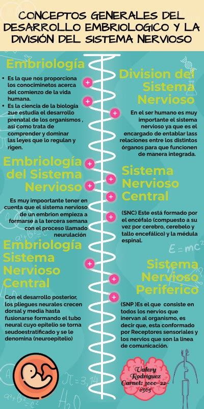 Conceptos Generales Del Desarrollo Embriol Gico