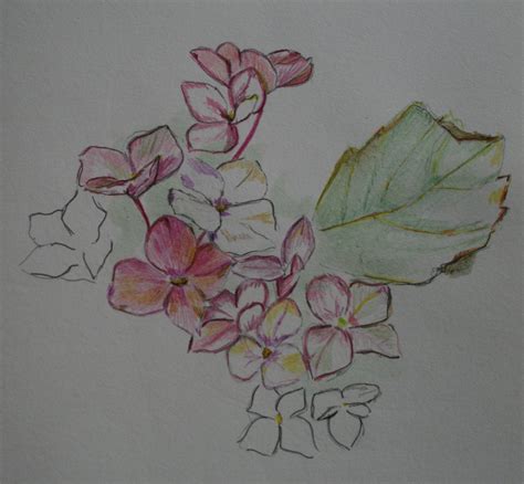 ONDERWEG: Tekening - bloemen