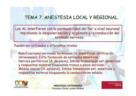 Anestesia Local Y Regional Vetery Books Udocz