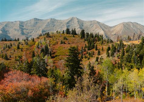 Guide To Driving Nebo Loop Scenic Byway In Utah