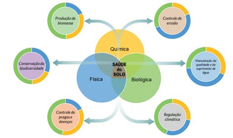 Indicadores De Qualidade Guia Completo Exemplos Descubra A