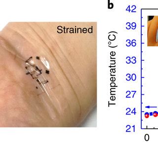 Performance Of Stretchable Temperature Sensors Based On Dynamic