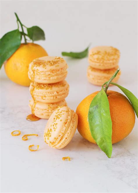 Food Nouveau The Whys And Hows Of Cooking And Baking Success Macaron