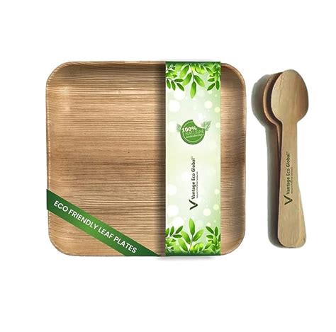 Vantage Eco Areca Palm Leaf Square Plate Combo Pack With Spoons