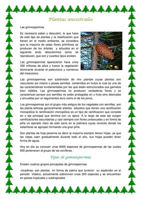 Texto Cientifico Texto Cientifico Tipos De Plantas Textos