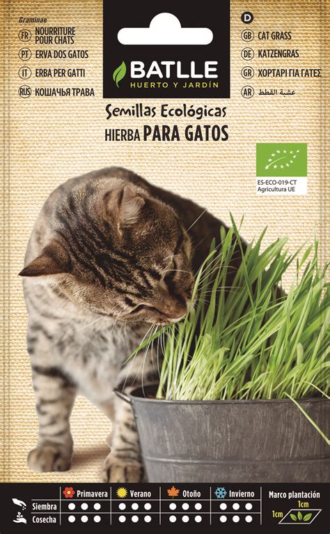 Hierba Para Gatos Semillas Batlle Huerto Y Jard N