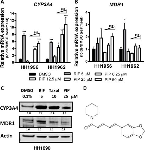 Figure From Piperine Activates Human Pregnane X Receptor To Induce