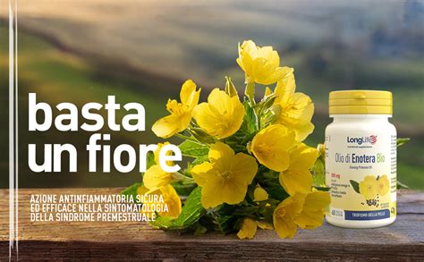 LongLife Olio Di Enotera Bio 500 Mg 60 Gr Amazon It Salute E Cura