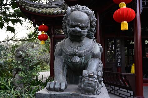 China Lion Statue Temple - Free photo on Pixabay - Pixabay