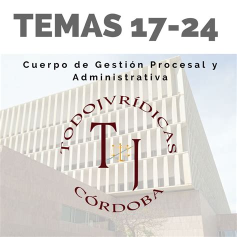 Esquemas Temas 17 a 24 Gestión Procesal PDF Todojuridicas