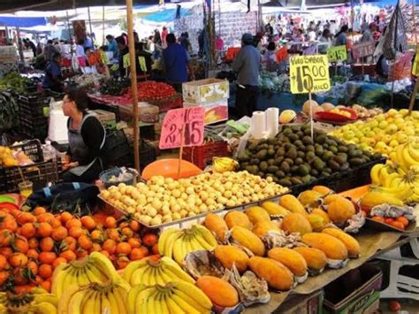 Aumenta El Costo De La Canasta Alimentaria Básica Según Coneval