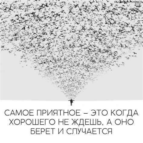 Bookinist 2024 | ВКонтакте