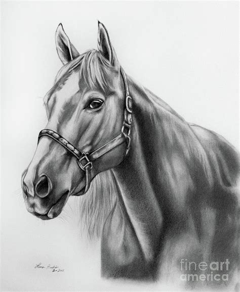 Horse Pencil Sketch at PaintingValley.com | Explore collection of Horse ...