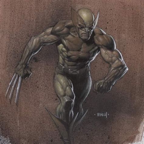 An Image Of A Drawing Of A Wolverine