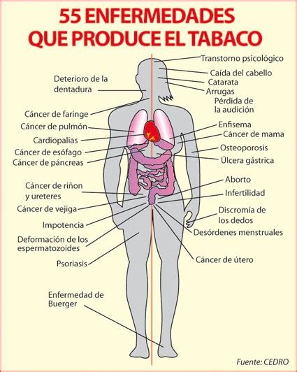 El Universal Peru Enfermedades Que Produce El Tabaco