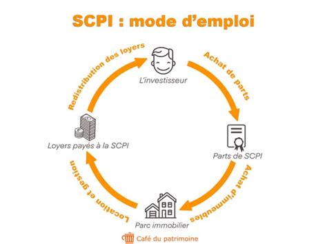 Scpi Pinel Quest Ce Que La SCPI