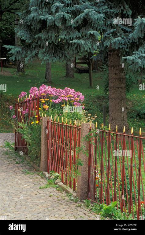 Italy St Ulrich Decorative Iron Fence And Asters Stock Photo Alamy