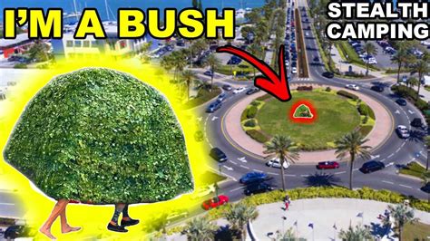 CAUGHT FAKE BUSH Stealth Camping In A Roundabout Clearwater