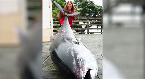 Largest Bluefin Tuna Caught By Woman Still Holds World Record Country