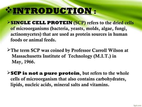 Single Cell Protein