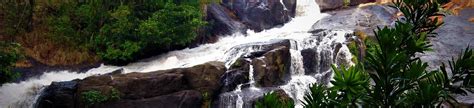 7 Waterfalls in Wayanad You Won't Want to Miss in 2025