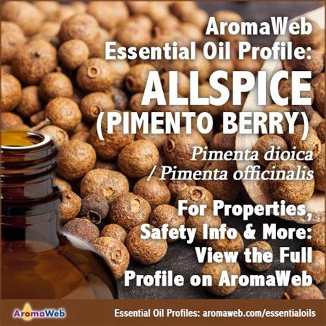 Allspice Essential Oil Uses And Benefits Aromaweb Essential Oil